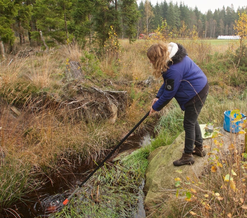 Heléne Annadotter tar prover i ett mörkt och humusrikt vatten i ett dike i norra delen av Immelns avrinningsområde. Provtagningspunkt P6411. Foto från rapport Hola Lake Immeln: Johan Forssblad. 