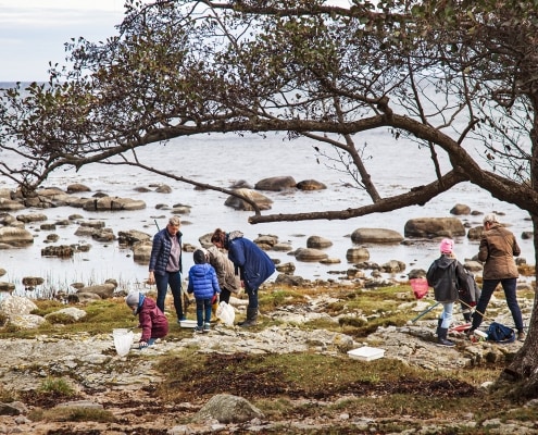 Lokal samverkan visar vägen framåt