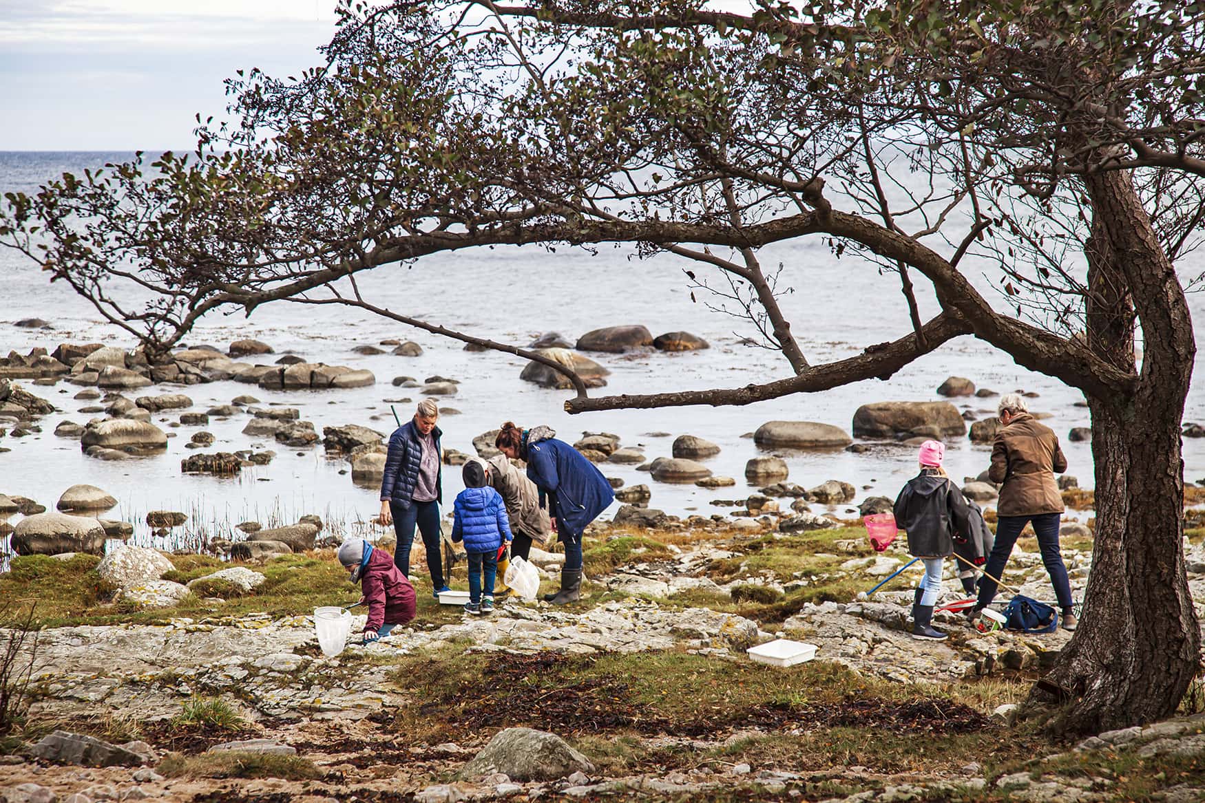 Lokal samverkan visar vägen framåt