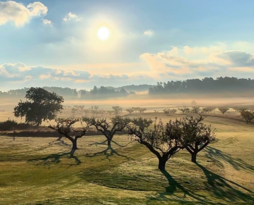 Österlens Golfklubb