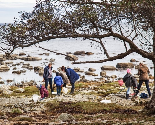 Vandring Oderbäcken